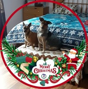 Meet your Posher, Sabrina